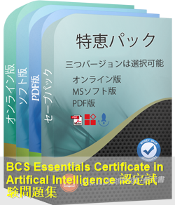 AI19 問題集