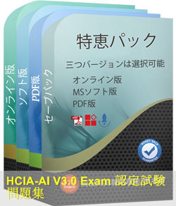 H13-311_V3.0 問題集