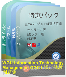 Information-Technology-Management 問題集